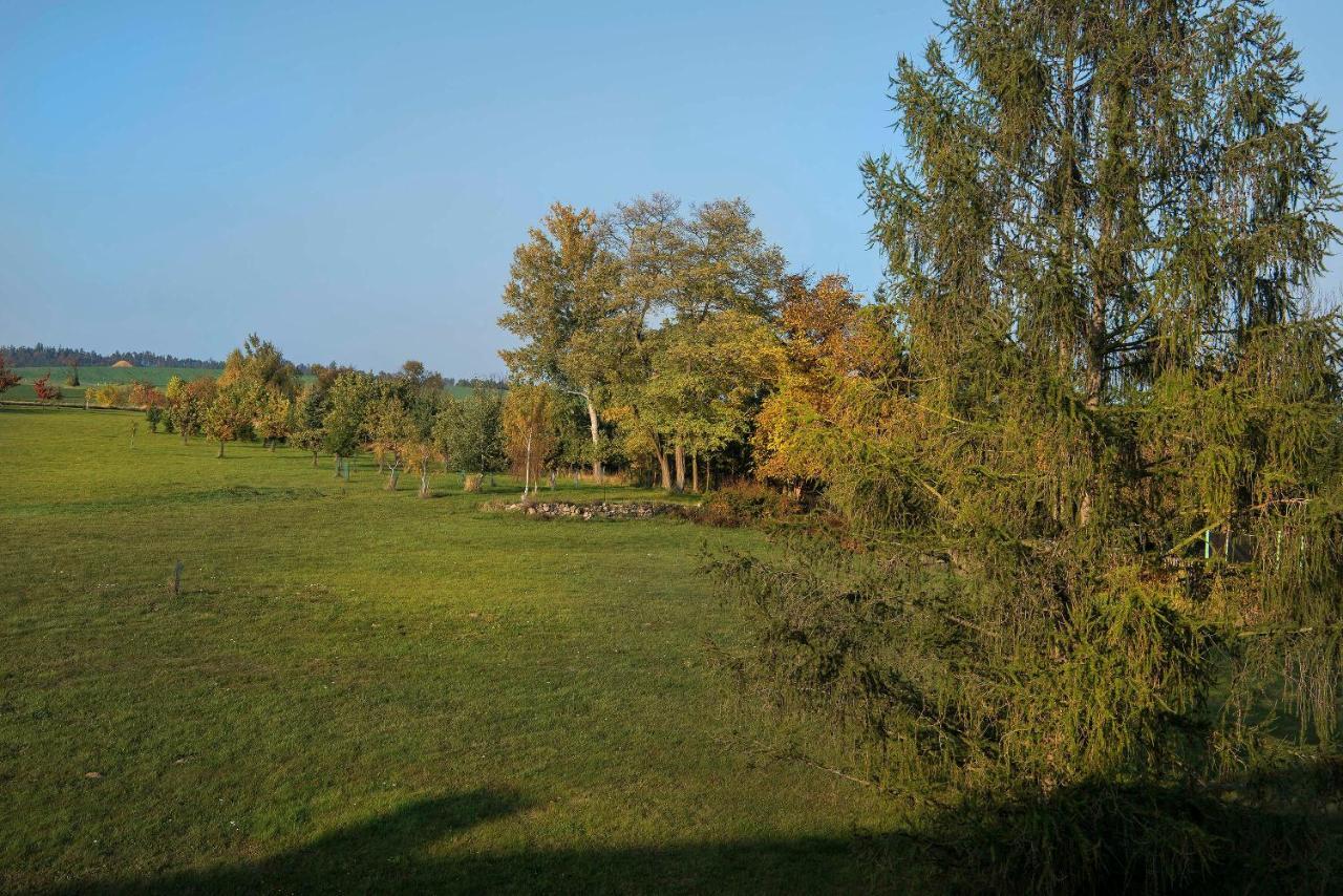 Zamek Liboun Hotel Louňovice pod Blaníkem Kültér fotó